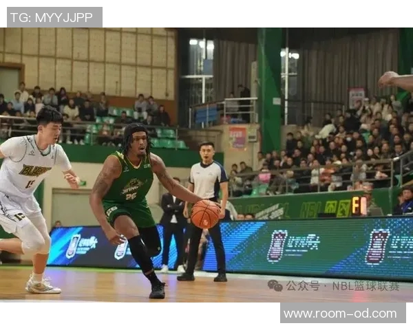 张家口体文旅篮球俱乐部全景解析NBL球队巡礼第4期精彩亮点与发展前景