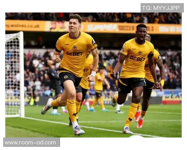 英媒报道狼队希望重新签回特劳雷以提升球队表现和士气